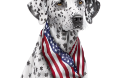 dog-doberman-looking-right