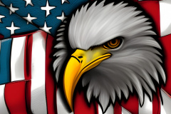 LgrckHSHADddAPwViza7-2-gt86v_6x